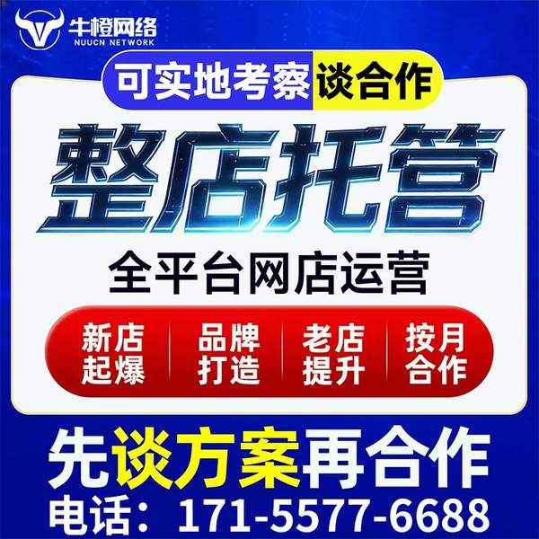 安顺电商代运营