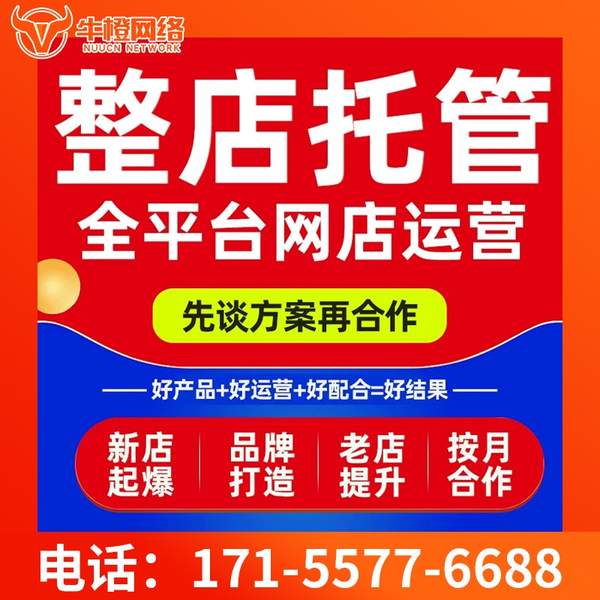 安顺电商代运营