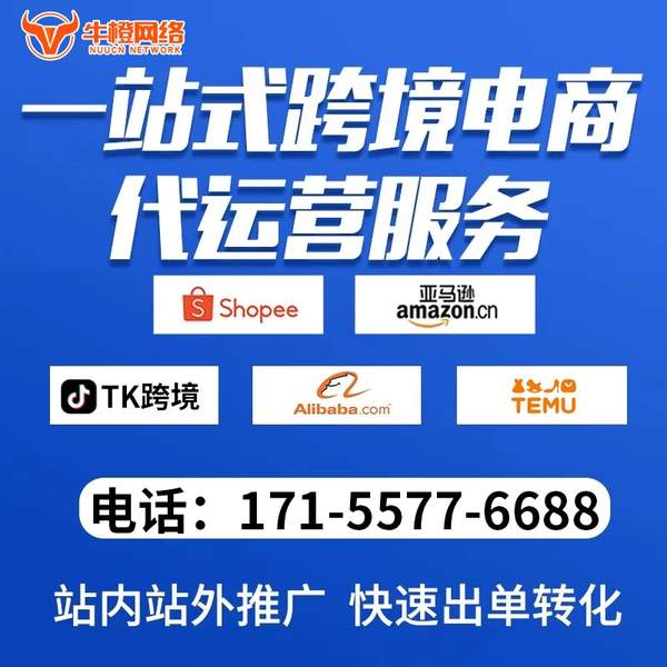 安顺电商代运营