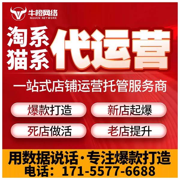 安顺电商代运营